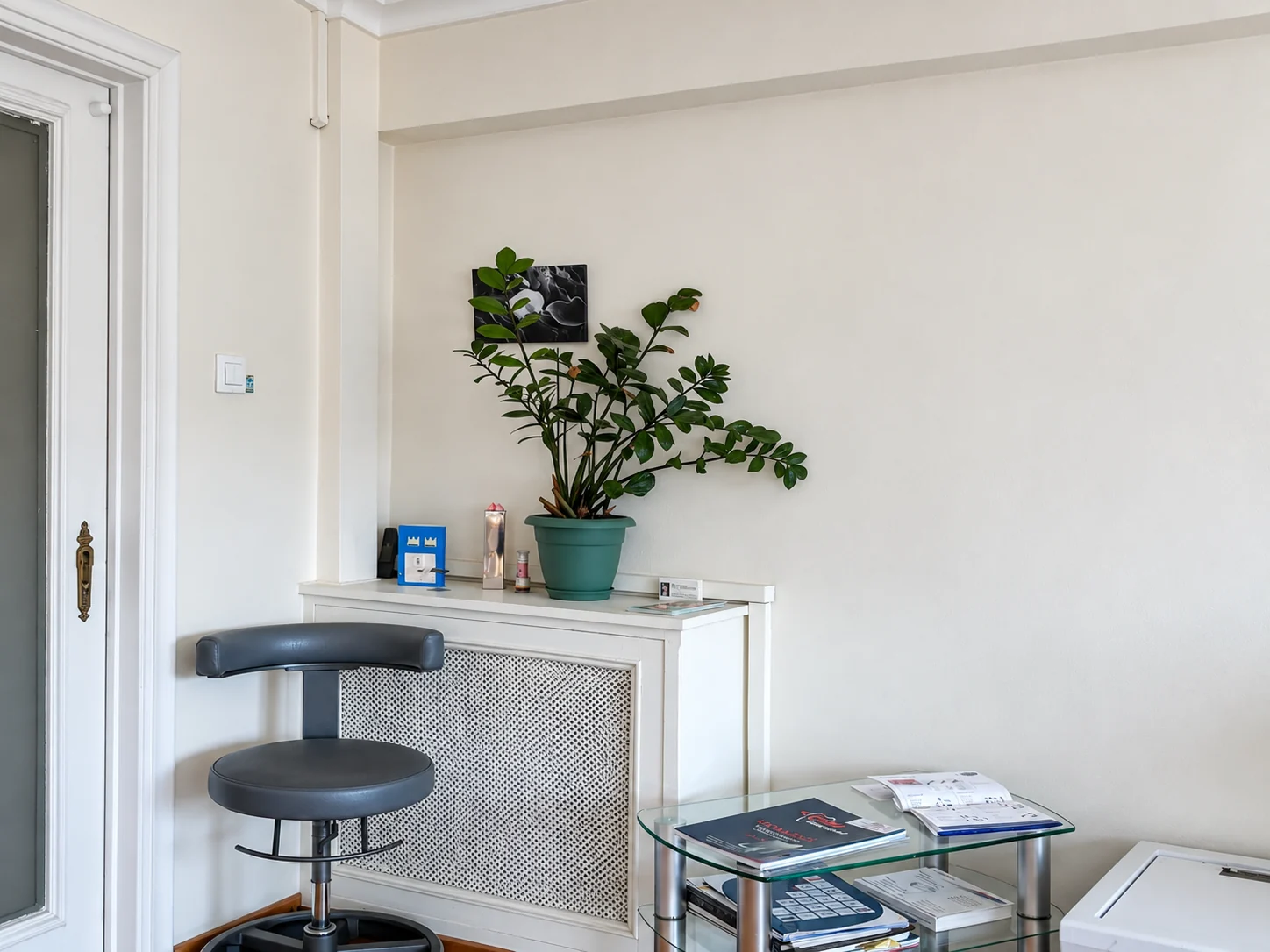 A quiet waiting corner with a plant and reading material